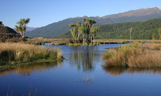 The Rakatu Wetlands is a fantastic place to visit. A walking track and information kiosk provide a great opportunity to understand this great wetland resource. The Rakatu Wetlands reserve.