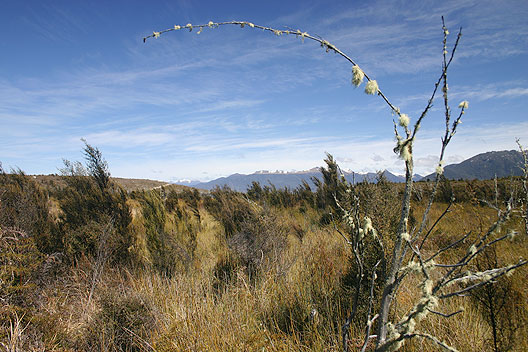 A QEII and Trust Habitat Enhancement agreement on Eweburn Station, Fiordland QEII covenant on Eweburn Satation